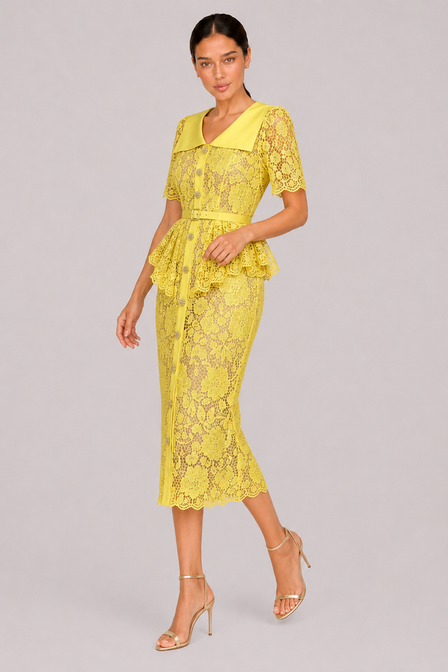 The Delphine: Ivory Guipure Lace Shirtdress — product image 17