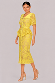 The Delphine: Ivory Guipure Lace Shirtdress — product image 16
