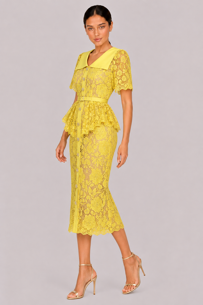 The Delphine: Ivory Guipure Lace Shirtdress — product image 16