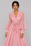 Geneviève Lace-Embroidered V-Neck Maxi Dress — product image 1