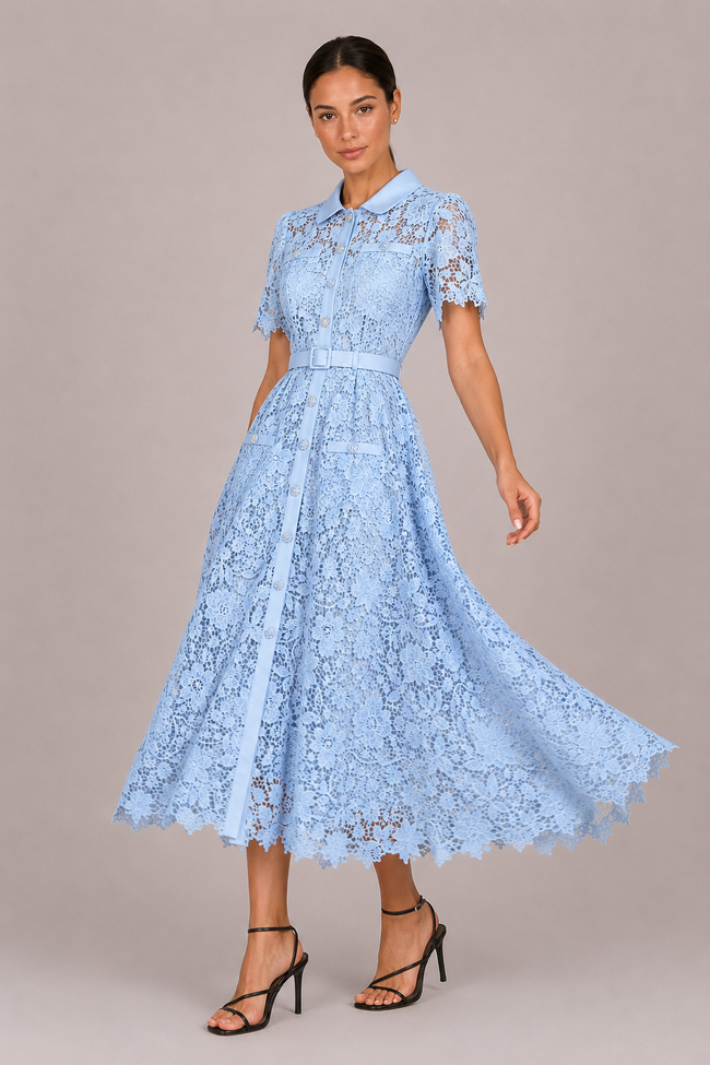 The Ophelia: Lace Hollow A-Line Commuter Dress — product image 5