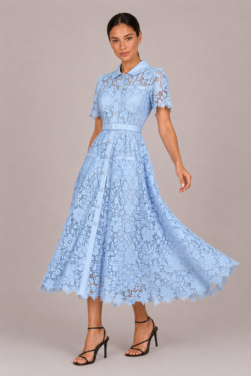 The Ophelia: Lace Hollow A-Line Commuter Dress — product image 5