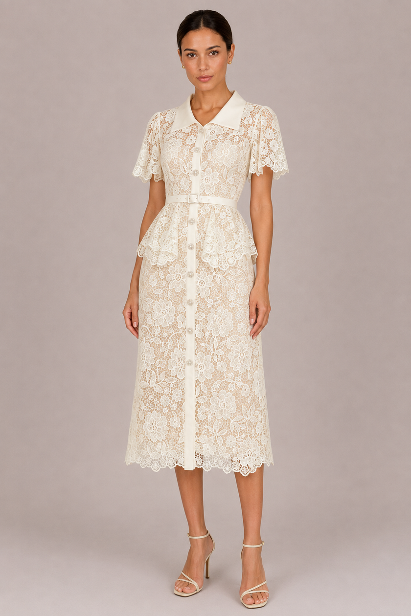 The Ophelia: Lace Hollow A-Line Commuter Dress — product image 8