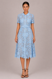 The Ophelia: Lace Hollow A-Line Commuter Dress — product image 6