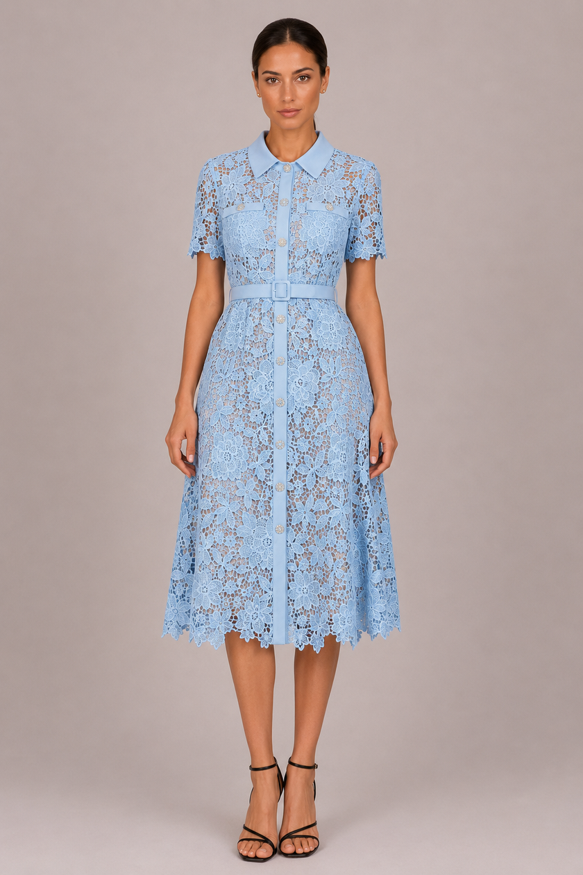 The Ophelia: Lace Hollow A-Line Commuter Dress — product image 6