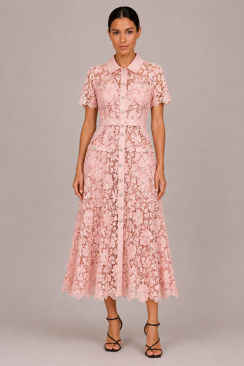 The Ophelia: Lace Hollow A-Line Commuter Dress — product image 3