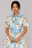 The Rosalie Floral Lace A-Line Dress